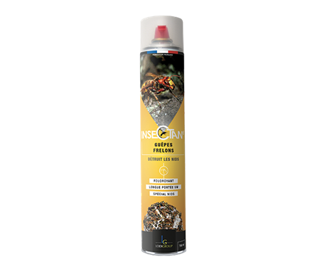 Aerosol Insecticide foudroyant guêpes et frelons Insectan 750ML